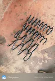 Subaru Legacy BR9 Springs - 1