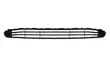 Toyota Premio 260 Bumper Grille (2008 Onwards) - 1