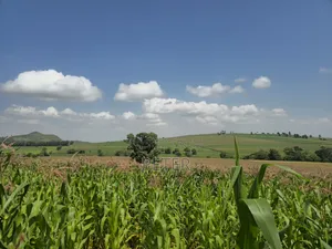 200 Acres Farmland for Sale in Kabazi