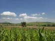 200 Acres Farmland for Sale in Kabazi - 1