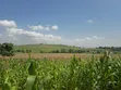200 Acres Farmland for Sale in Kabazi - 2