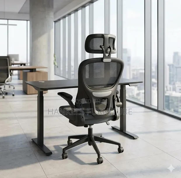 Orthopedic Chair and Electric Adjustable Desk | Ergonomic Office Setup - 1
