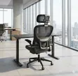 Orthopedic Chair and Electric Adjustable Desk | Ergonomic Office Setup - 2