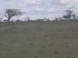 2,000 Acres Freehold Land, Rumuruti, Laikipia County - 1