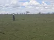 2,000 Acres Freehold Land, Rumuruti, Laikipia County - 2