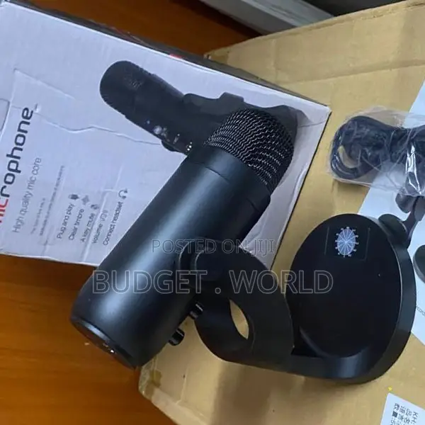 Professional Table Microphone for Podcasting & Streaming - 1