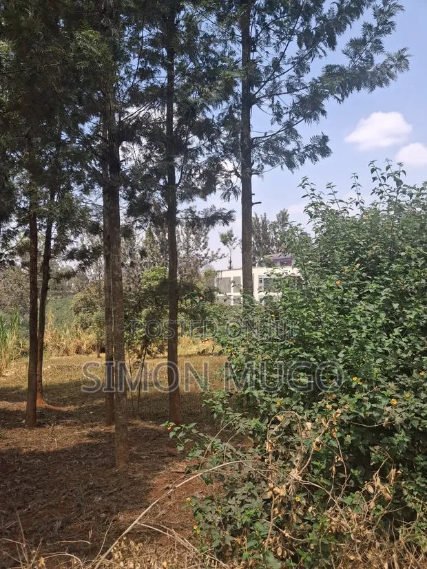 Prime 1/2 Acre Land on Kiambu Road, Opposite KIST - 1