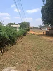 Prime 1/2 Acre Land on Kiambu Road, Opposite KIST - 3
