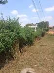Prime 1/2 Acre Land on Kiambu Road, Opposite KIST - 4