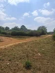 Prime 1/2 Acre Land on Kiambu Road, Opposite KIST - 5