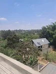 Kiambu Road Prime 1/4 Acre Plot in Picken Gardens - 3