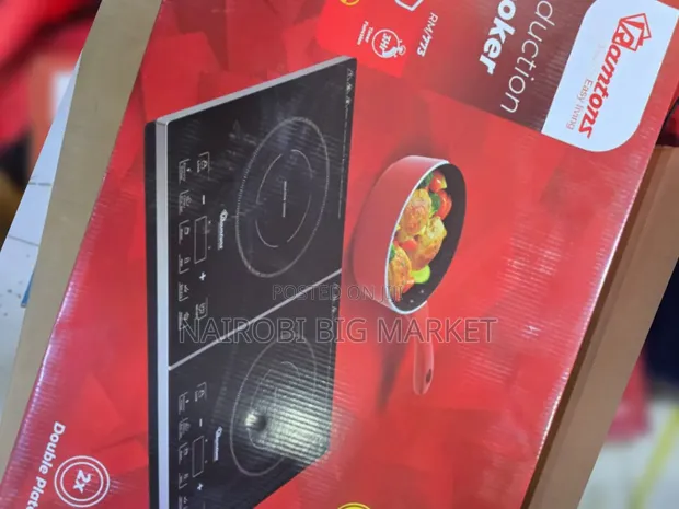 Double Ramtons Induction Cooker with Free Pan - 1