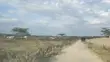 Prime Plot for Sale - Kiserian - 1