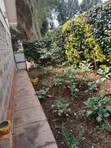 3 Bedroom House for Sale in Buffalo, Ngong CBD - 4