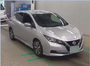 Nissan Leaf 2019 Nyeupe