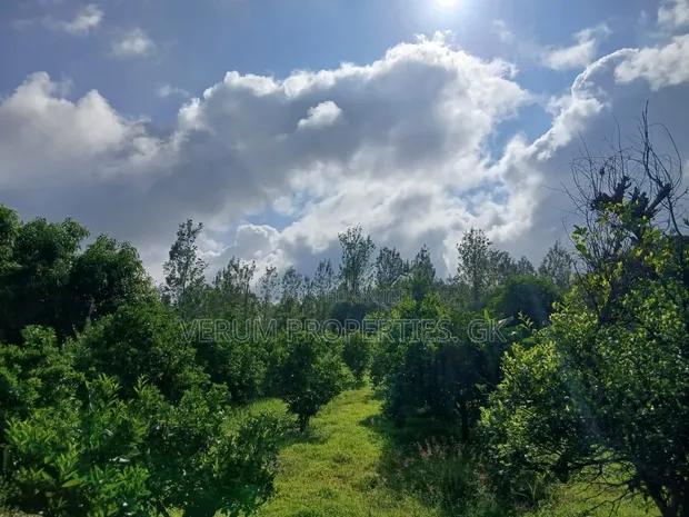 Macvast Gatanga Land for Sale - 1
