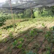Macvast Gatanga Land for Sale - 3