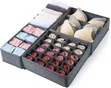 Foldable 4-in-1 Under Garment Organizer - 2