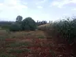 Half Acre Land for Sale in Gathigiini, Mwea East - 2