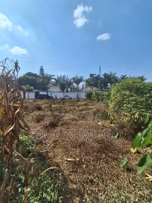 Mushrooms Gardens Kiambu Road 1/2 Acre Prime Land