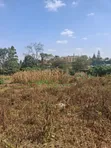 Mushrooms Gardens Kiambu Road 1/2 Acre Prime Land - 2