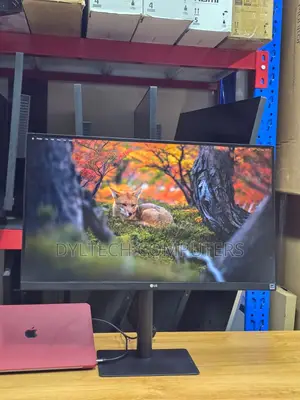 LG 27-inch 4K Monitor (27BK85U-W)