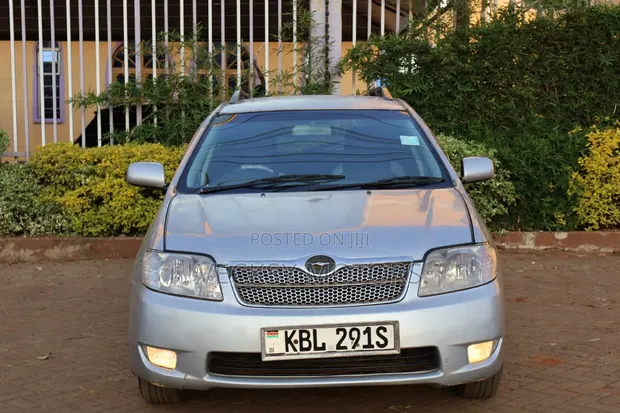 Toyota Corolla Fielder 2003 Silver - 1