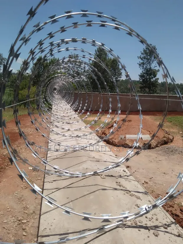 Galvanized Razor Wire - 10 Meters - 1