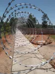Galvanized Razor Wire - 10 Meters - 1