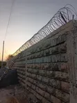 Galvanized Razor Wire - 10 Meters - 2