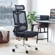 Orthopedic High Back Mesh Office Chair - 4