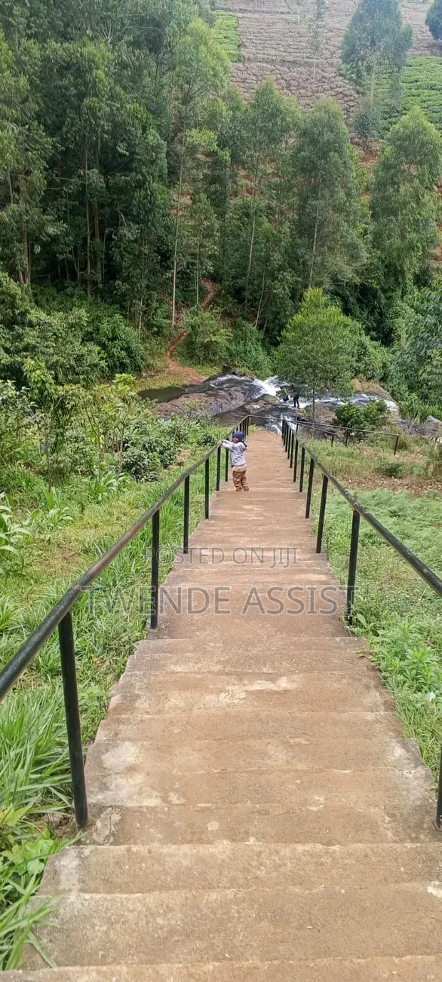 Errands & Travel Assistant Services in Nairobi & Kenya - 1
