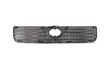 Toyota Succeed Grille 2005 - 1
