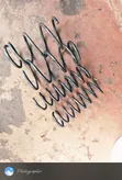 Subaru Outback Coil Springs (Used) - 1