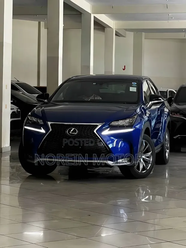 Lexus NX 2020 Blue - 1