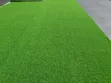 25mm Artificial Tuff Grass - 5