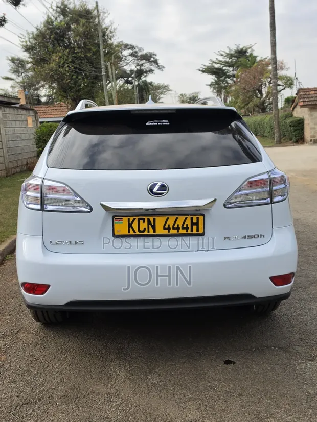 Lexus RX 2010 Hybrid Luxury SUV - 1
