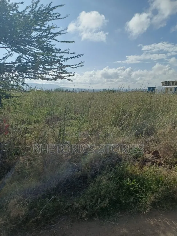 Prime 100x100 Commercial Plot for Sale Near Great Wall Gardens, Mavoko - 1