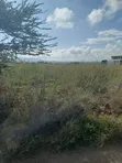 Prime 100x100 Commercial Plot for Sale Near Great Wall Gardens, Mavoko - 1