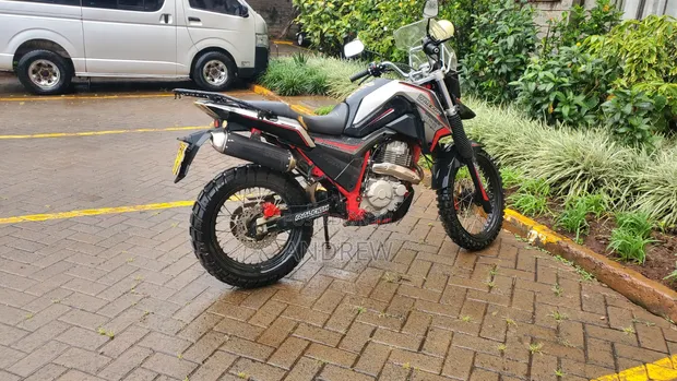 Raleigh 400cc Dual Sport 2019 Red - 1