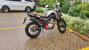 Raleigh 400cc Dual Sport 2019 Red