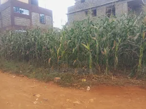 Riverside Estate Residential Plots, Kenyatta Road