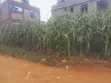 Riverside Estate Residential Plots, Kenyatta Road - 1