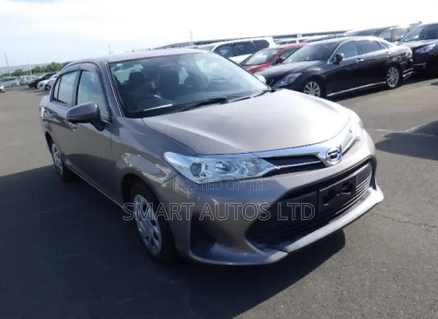 Toyota Axio 2019 Brown - 1