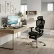 Orthopedic Executive Office Chair - Black Mesh Fabric - 5