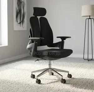 Orthopedic Office Chair with Double Backrest