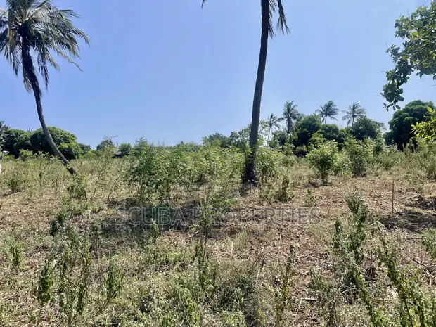 Prime Quarter-Acre Plot for Sale in Kizingo - 1