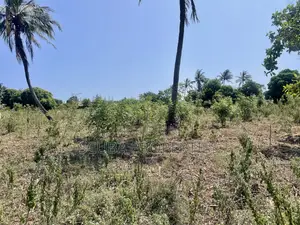 Prime Quarter-Acre Plot for Sale in Kizingo