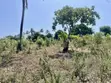 Prime Quarter-Acre Plot for Sale in Kizingo - 2