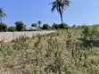 Prime Quarter-Acre Plot for Sale in Kizingo - 3